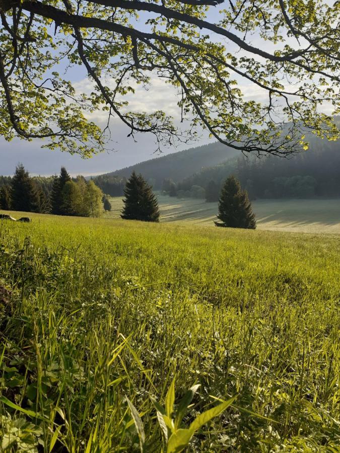 Chalupa U přátel Kovářská Exteriér fotografie